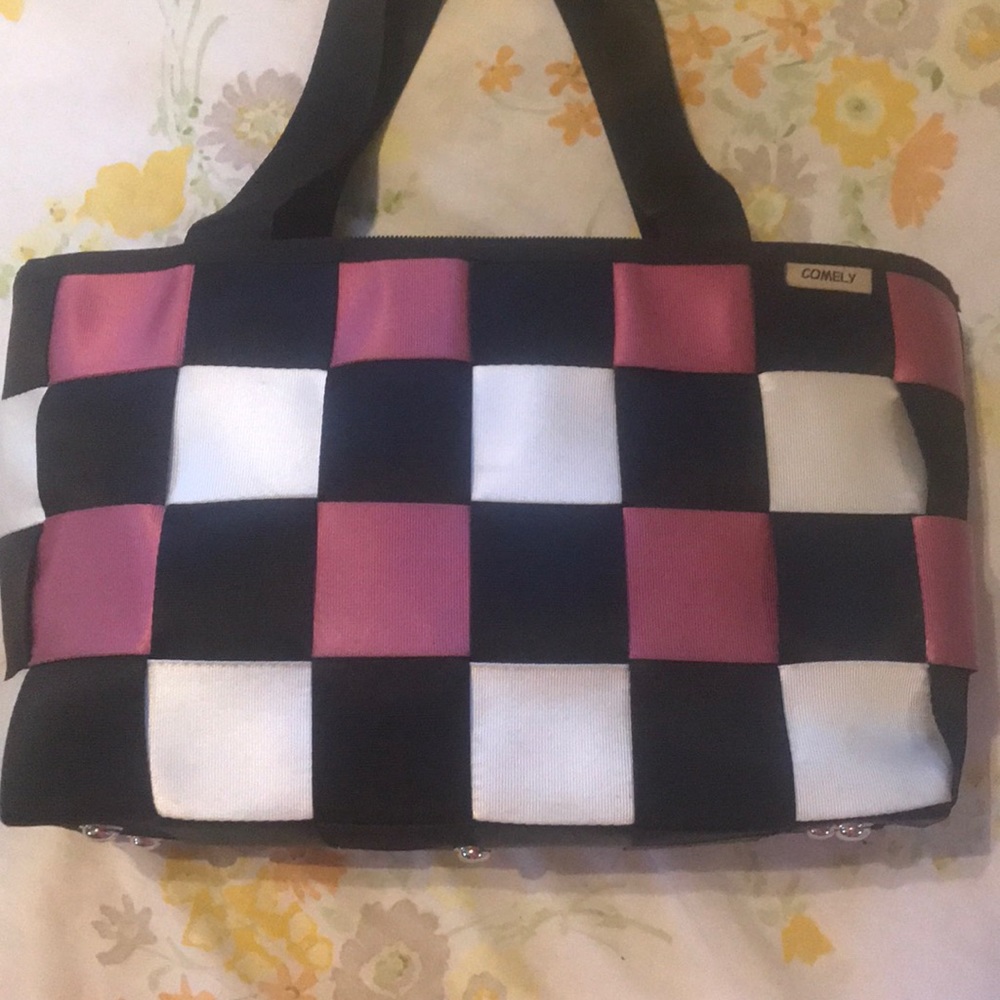 Seat belt purse
